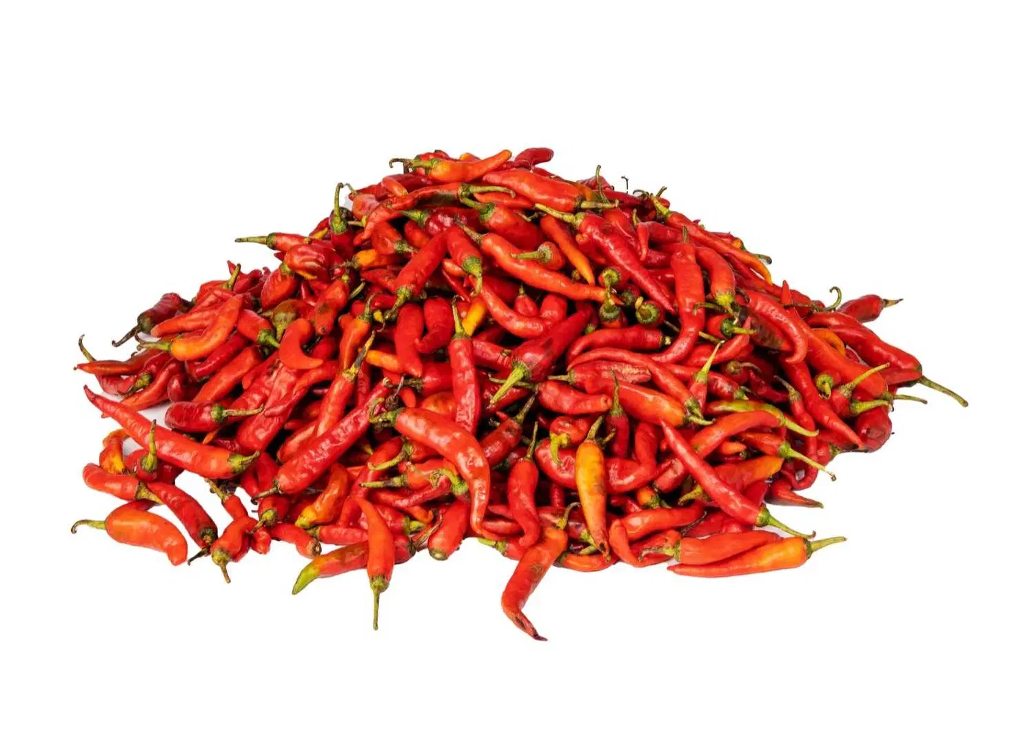 Pepper (Shombo)