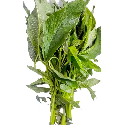 Spinach (Aleho)